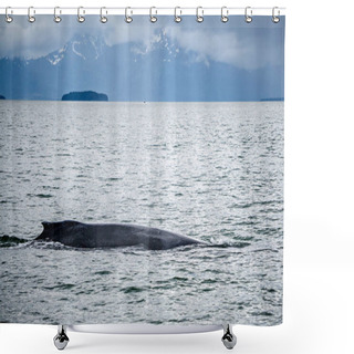 Personality  Humpack Whale Hunting On Mud Bay Alaska  Shower Curtains