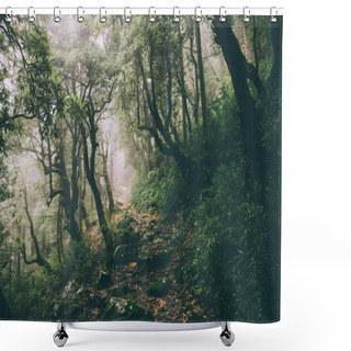 Personality  Beautiful Majestic Trees And Rocky Trail In Indian Himalayas, Dharamsala, Baksu Shower Curtains