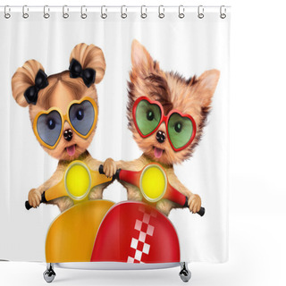 Personality  Couple Of Funny Dogs On A Motorbike Shower Curtains