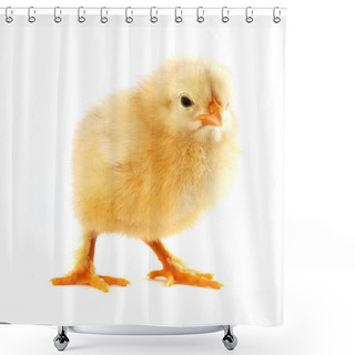 Personality  The Yellow Small Chick Shower Curtains