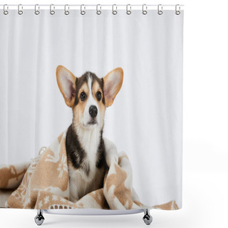 Personality  Cute Welsh Corgi Puppy In Blanket Isolated On White  Shower Curtains