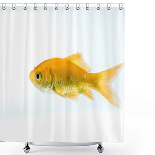 Personality  Golden Fish Shower Curtains
