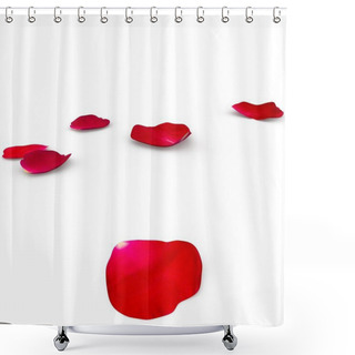 Personality  Petals Of A Red Rose Lying On The Floor Shower Curtains