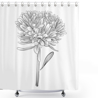 Personality  Monochrome, Black And White Aster Flower Isolated. Shower Curtains