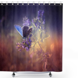 Personality  Vintage Butterfly. Shower Curtains