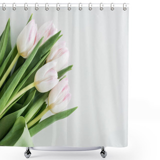 Personality  Light Pink Tulips   Shower Curtains