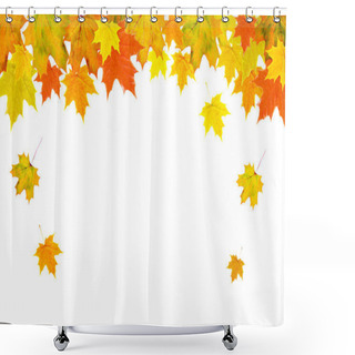 Personality  Autumn Maple Leaf Background. Bright Yellow Orange Green Red Leaves Isolated On A White Horizontal Background. Colorful Foliage. Space For Text. Shower Curtains