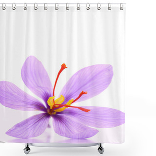 Personality  Close Up Of Saffron Flower Isolated On White Background  Shower Curtains