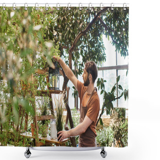Personality  Handsome Bearded Gardener In Linen Apron Holding Vintage Lamp Near Rack With Plants In Greenhouse Shower Curtains