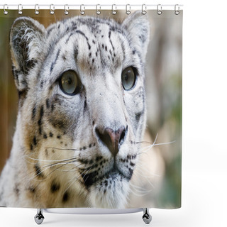 Personality  Close Up Portrait Of Snow Leopard Irbis Shower Curtains