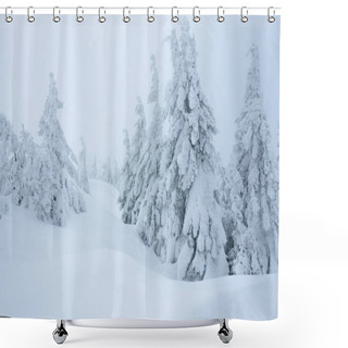 Personality  Snowy Forest Shower Curtains