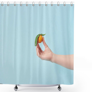 Personality  Cropped View Of Woman Holding Organic Tangerine In Hand Isolated On Blue  Shower Curtains