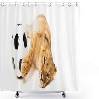 Personality  Cute Lion Cub Near Soccer Ball Isolated On White, Panoramic Shot Shower Curtains
