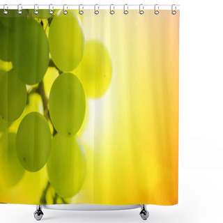 Personality  Grapes At Sunset Shower Curtains