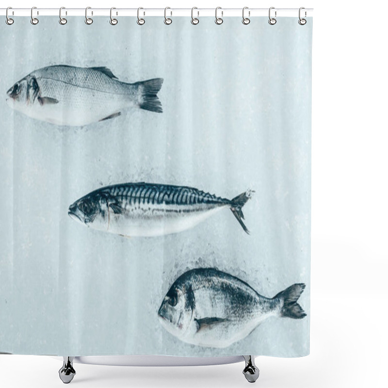 Personality  top view of various uncooked healthy sea fish on ice shower curtains