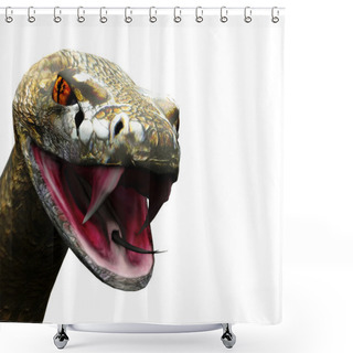 Personality  Closeup Of Rattlesnake Ready To Strike Shower Curtains