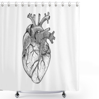 Personality  Vector Realistic Heart . Anatomy Human Organ Image For Black And White Hipster T-shirt Print Shower Curtains