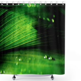 Personality  Close-up View Of Green Floral Background With Dew Drops Shower Curtains