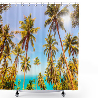 Personality  Coconuts Palm Trees And Sea Shower Curtains