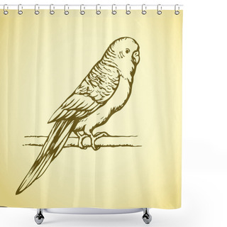 Personality  Budgerigar. Vector Drawing Shower Curtains