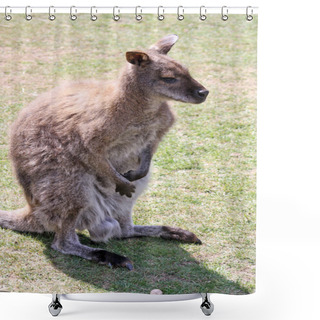 Personality  Wallaby Shower Curtains