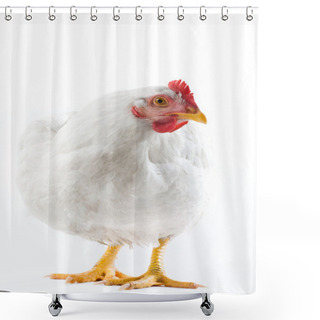 Personality  White Hen Shower Curtains