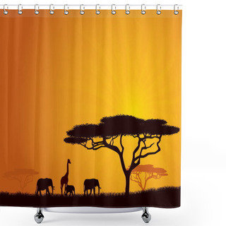 Personality  African Wildlife Background. Nature Background Series. Shower Curtains