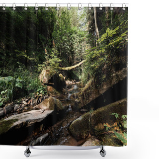 Personality  Tranquil Forest With Flowing River And Stones  Shower Curtains