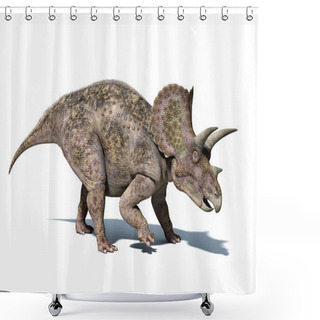Personality  Triceratops Dinosaur, Isolated On White Background Shower Curtains