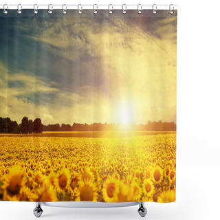 Personality  Sunflowers Over Sunset Shower Curtains