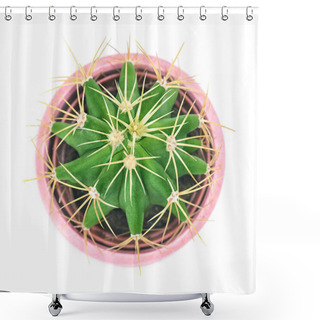 Personality  Top View Closeup Green Cactus Isolated In Ceramic Pot  White Background. Flat Lay.  Shower Curtains