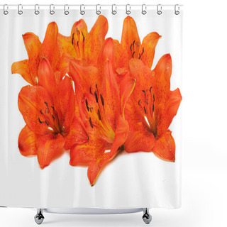 Personality  Tiger Lily Flowers Shower Curtains