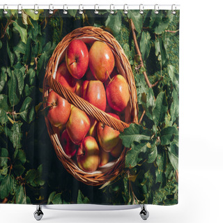 Personality  Red Apples In Wicker Basket On Apple Tree Leaves Shower Curtains