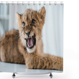 Personality  Cute Lion Cub Growling While Lying On Table In Veterinary Clinic Shower Curtains