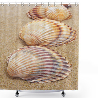 Personality  Seashells On The Sand Shower Curtains