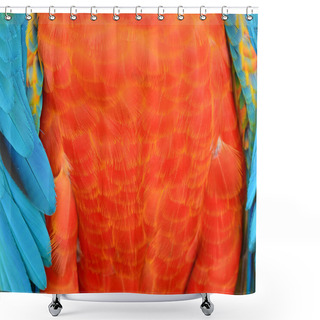 Personality  Harlequin Macaw Feathers Shower Curtains