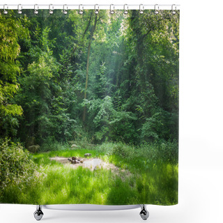 Personality  Forest Camping Place Shower Curtains