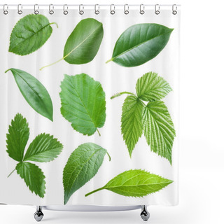Personality  Garden Leaves Shower Curtains