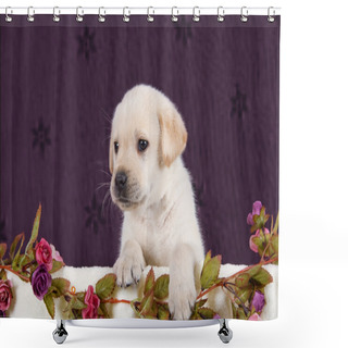 Personality  Small Labrador Puppy With Flowers In Blanket On Pink Pattern Shower Curtains