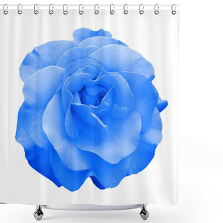 Personality  Tender Blue Rose Flower Macro Isolated On White Shower Curtains