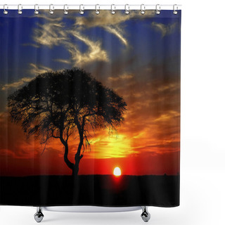 Personality  African Sunset Shower Curtains