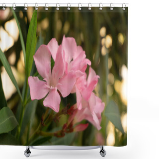 Personality  Beautiful But Dangerous Oleander Flower Shower Curtains