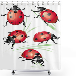 Personality  Set Of Ladybird Shower Curtains