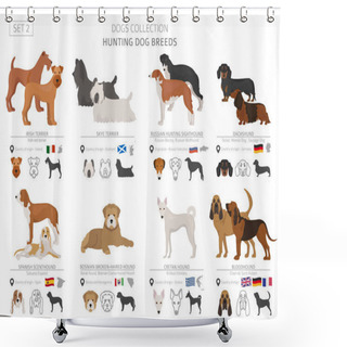 Personality  Hunting Dogs Collection Isolated On White. Flat Style. Different Color And Country Of Origin. Vector Illustration Shower Curtains