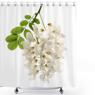 Personality  Acacia Flowers Shower Curtains