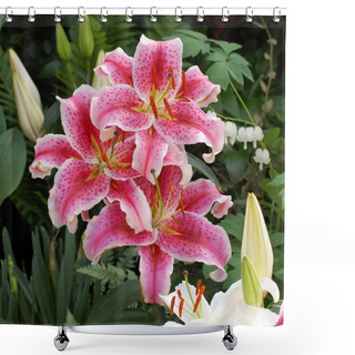 Personality  Three Daylilies In Garden Shower Curtains