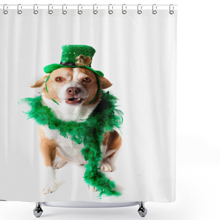 Personality  Shamrockdog Shower Curtains