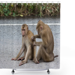 Personality  Monkeys In Forest. Shower Curtains