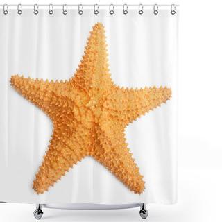 Personality  The Caribbean Starfish. Shower Curtains