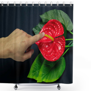 Personality  Blurred Male Hand Touches A Red Tropical Flower On A Black Background, Sex Concept Shower Curtains